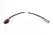 画像をギャラリービューアに読み込む, Haltech Nissan RB30 Single Cam w/OEM Distributor Elite 2000/2500 CAS Sub-Harness