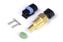 画像をギャラリービューアに読み込む, Haltech Coolant Temp Sensor 3/8 NPT 18 TPI (Incl Delphi Plug &amp; Pins)