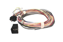 画像をギャラリービューアに読み込む, FAST Wiring Harness FAST 4-Cyl