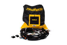 画像をギャラリービューアに読み込む, Haltech NEXUS Rebel LS Terminated Harness for ECU