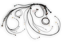 画像をギャラリービューアに読み込む, Haltech NEXUS Rebel LS Terminated Harness for ECU