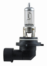 画像をギャラリービューアに読み込む, Hella Bulb 9006 12V 55W P22D T4 +50 (2)