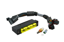 画像をギャラリービューアに読み込む, Haltech Elite 1000/1500 Plug-n-Play Adaptor Harness