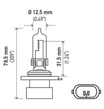 画像をギャラリービューアに読み込む, Hella Bulb 9005XS 12V 100W XEN WHT XB (2)