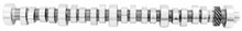 画像をギャラリービューアに読み込む, Ford Racing Small Block V-8 Hydraulic Roller Tappet Camshafts