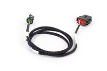 画像をギャラリービューアに読み込む, Haltech NEXUS Rebel LS T56 Transmission Harness