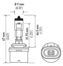 画像をギャラリービューアに読み込む, Hella Optilux 880 12V Xenon Yellow XY Bulb