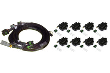 画像をギャラリービューアに読み込む, Haltech 8 Channel High Output IGN-1A Inductive Coil &amp; Harness Kit