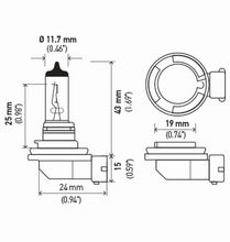 画像をギャラリービューアに読み込む, Hella Bulb H8 12V 35W Pgj191 T4 (2)