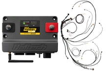 画像をギャラリービューアに読み込む, Haltech NEXUS Rebel LS Gen III Cable Throttle/EV1 Injectors/Manual Transmission