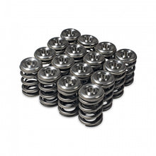 画像をギャラリービューアに読み込む, Skunk2 Alpha Series Honda/Acura H Series Valve Spring and Titanium Retainer Kit