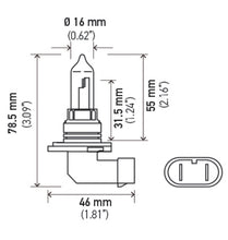 画像をギャラリービューアに読み込む, Hella 9005 12V 65W Xen White Bulb (Pair)