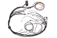 画像をギャラリービューアに読み込む, Haltech Elite 1000 Terminated Harness