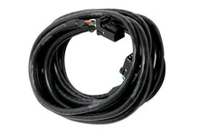画像をギャラリービューアに読み込む, Haltech CAN Cable 8 Pin Black Tyco to 8 Pin Black Tyco 2400mm (92in)