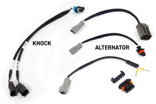 画像をギャラリービューアに読み込む, Haltech NEXUS Rebel LS Gen III Cable Throttle/EV1 Injectors/Manual Transmission