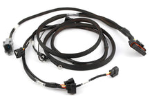 画像をギャラリービューアに読み込む, Haltech Elite 2000/2500 Terminated HPI6 Ignition Harness