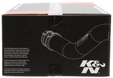 画像をギャラリービューアに読み込む, K&amp;N Performance Intake Kit TYPHOON: 13 Dodge Dart 2.0L L4 F/I - R70オートパーツ【公式】